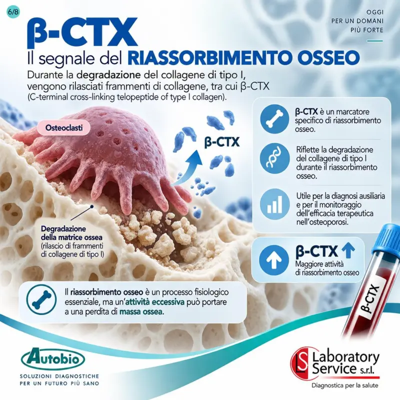 CTX - Copia -6